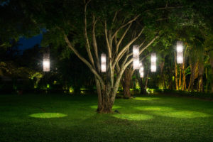 Read more about the article Best Solar Garden Lights