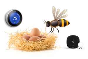 Read more about the article Ecobee vs Nest